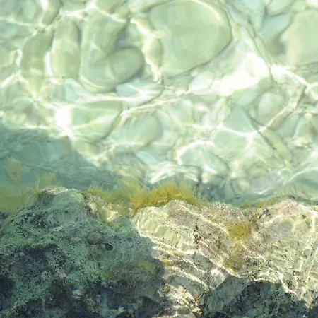 Snjezana Apartment *